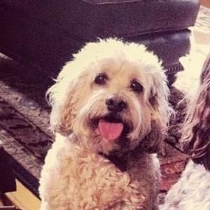 Meet your Posher, Judy